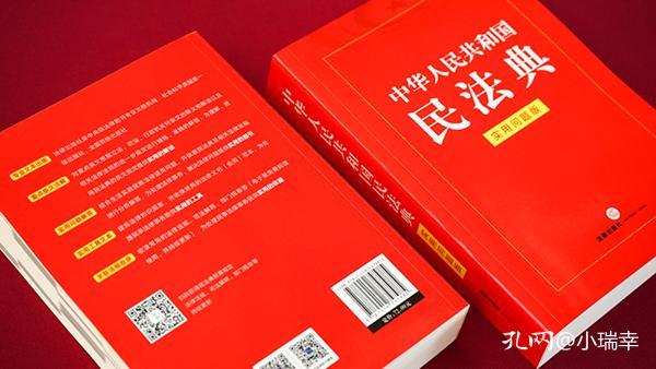 澳门正版免费精准大全，全面释义解释落实的蓝图展望（2024-2025）