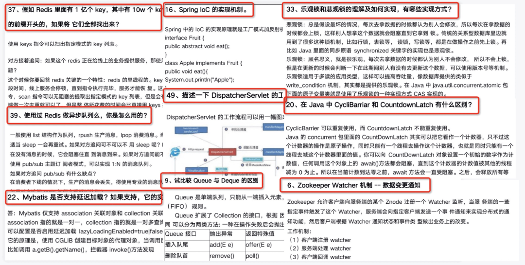 新奥全年资料正版资料大全，精选解释解析与落实