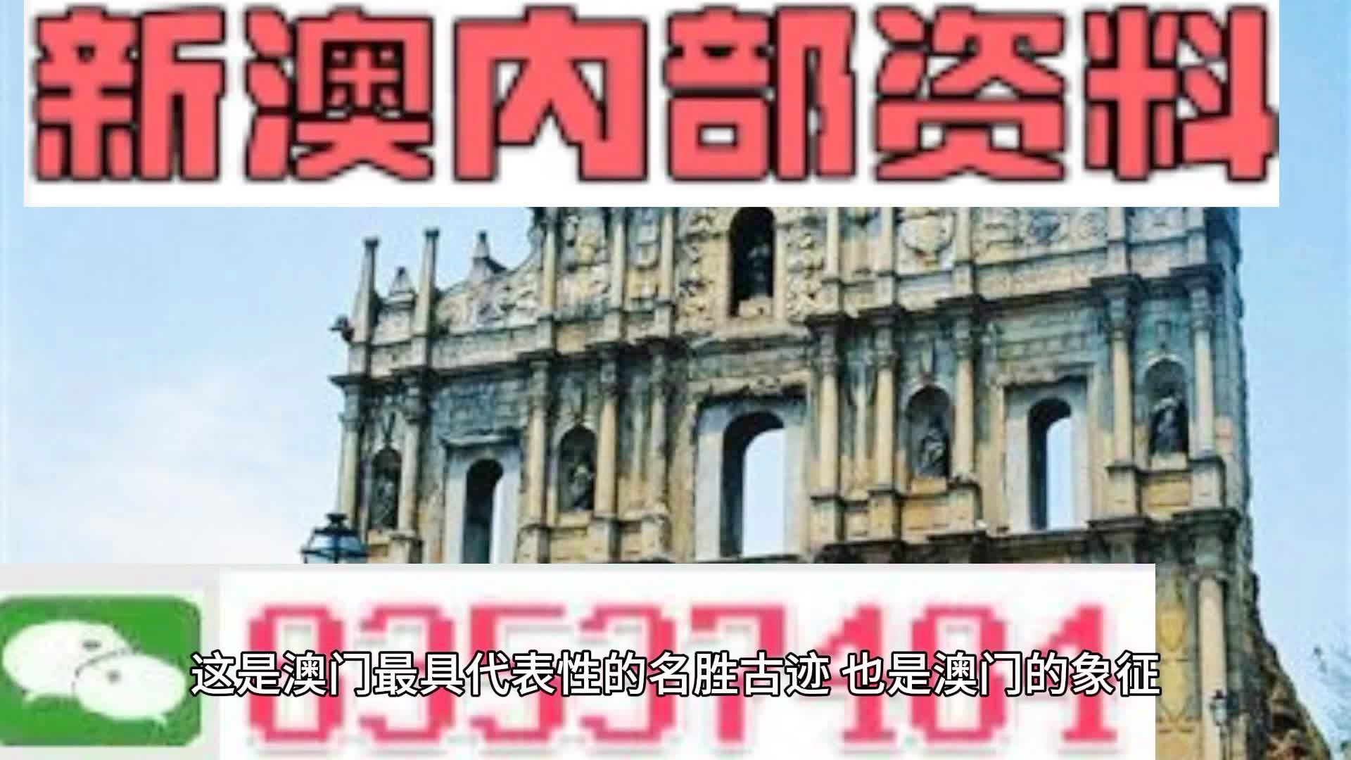 2004新澳门全年精准资料大全解析与落实精选