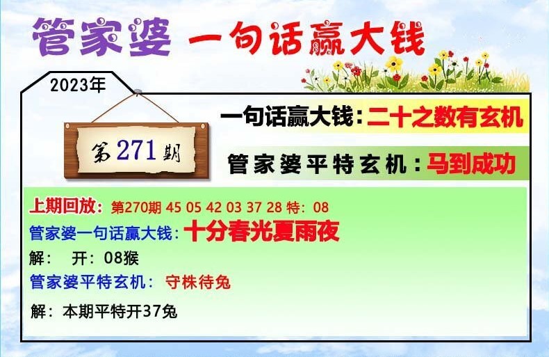 澳门一肖一码与管家婆9995，构建解答、解释与落实的策略