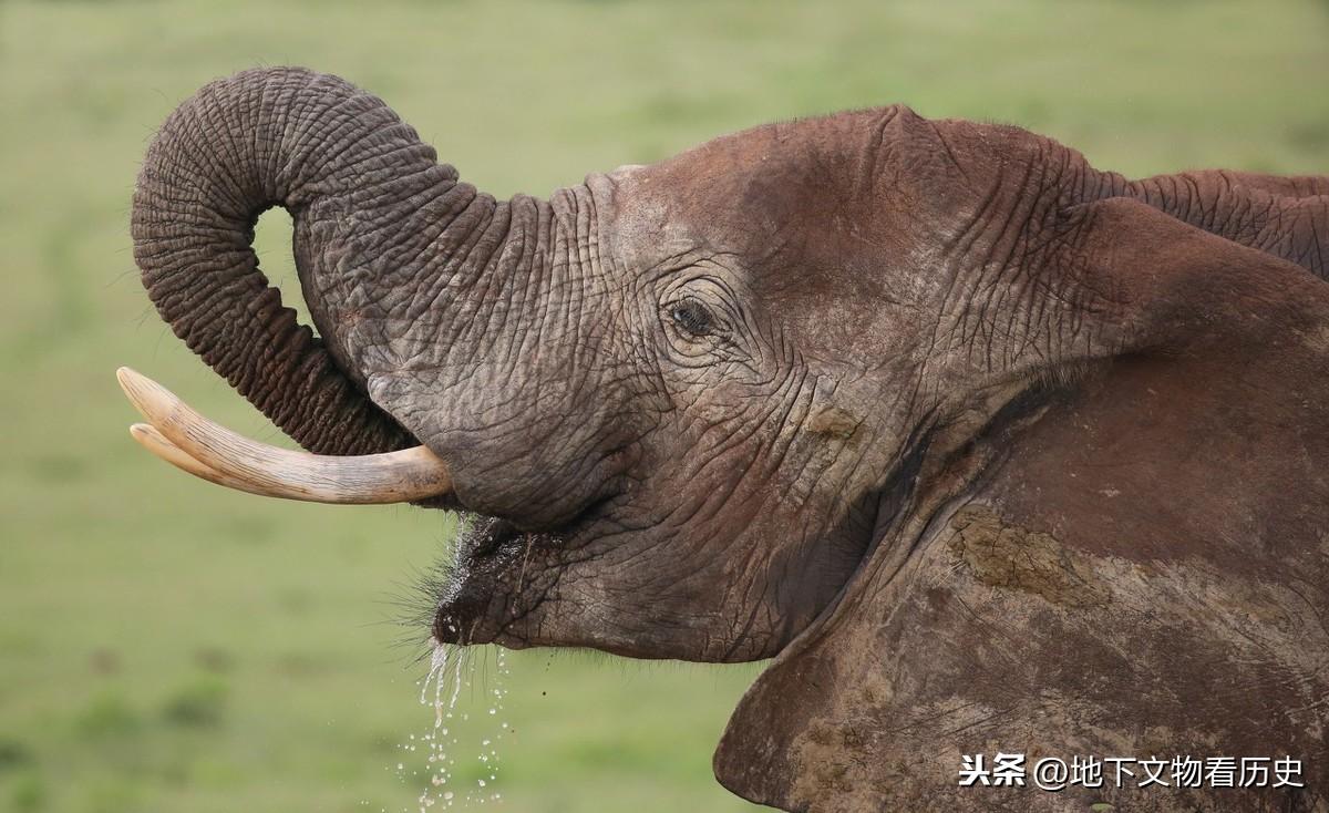 婴儿四个月长牙好不好，早期长牙的特点与注意事项