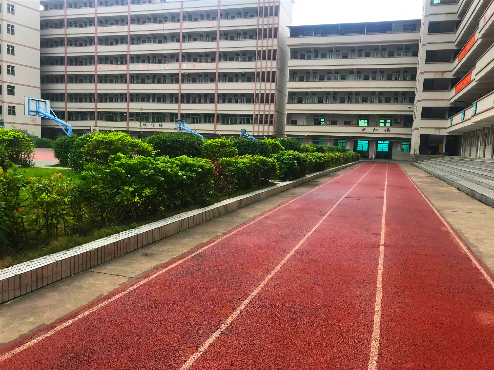 广东省高州市金阳学校，育人为本，质量立校