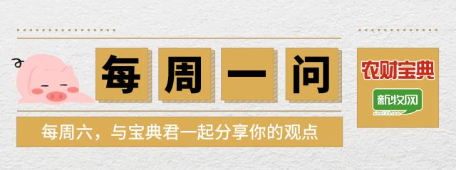 广东问道文化有限公司，传承与创新的文化力量