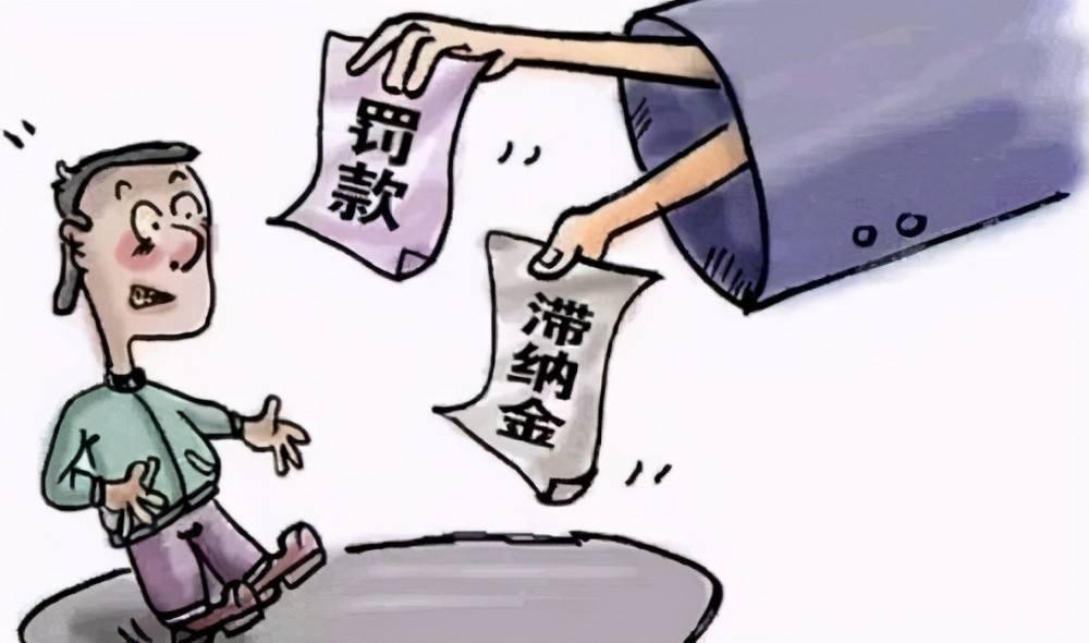 广东省税号查询，便捷高效的企业税务服务新体验