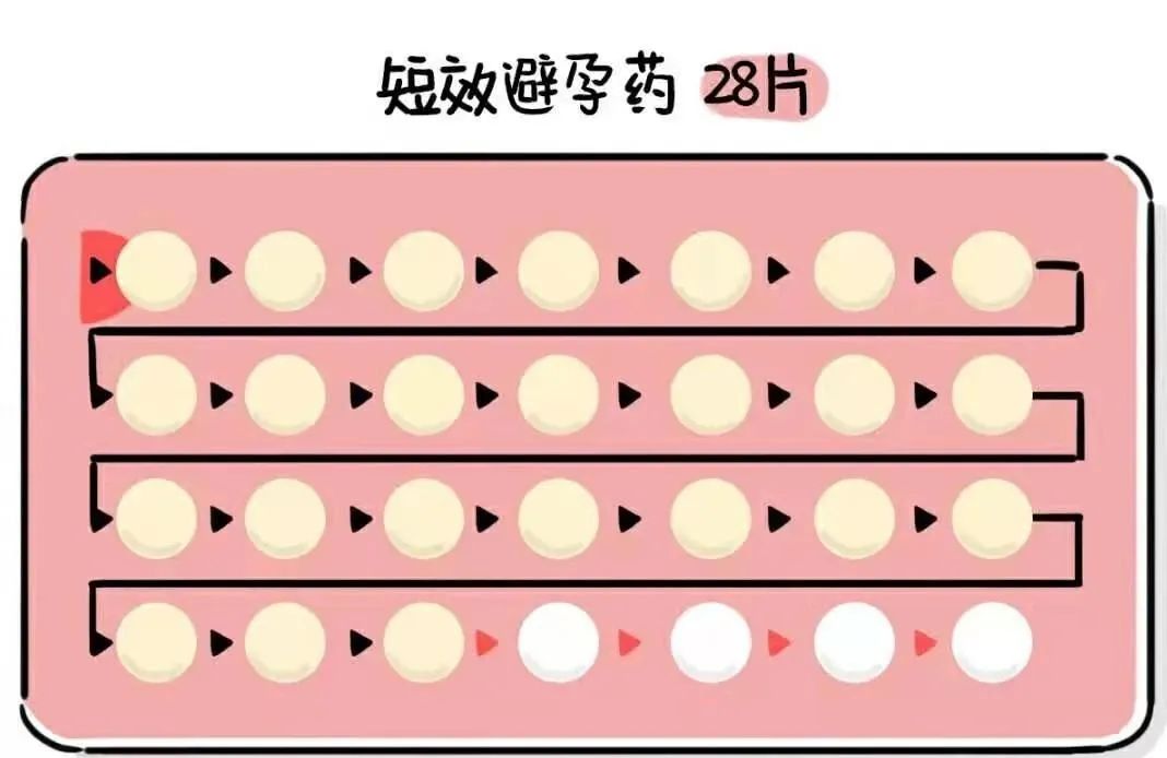 2025年2月13日 第4页