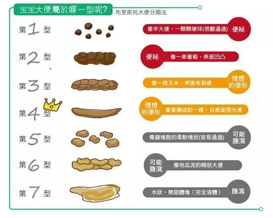 关于7个月宝宝大便成形的奥秘