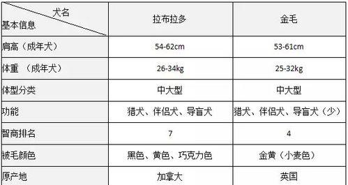 关于拉布拉多犬在十个月内的饮食需求——食量探讨